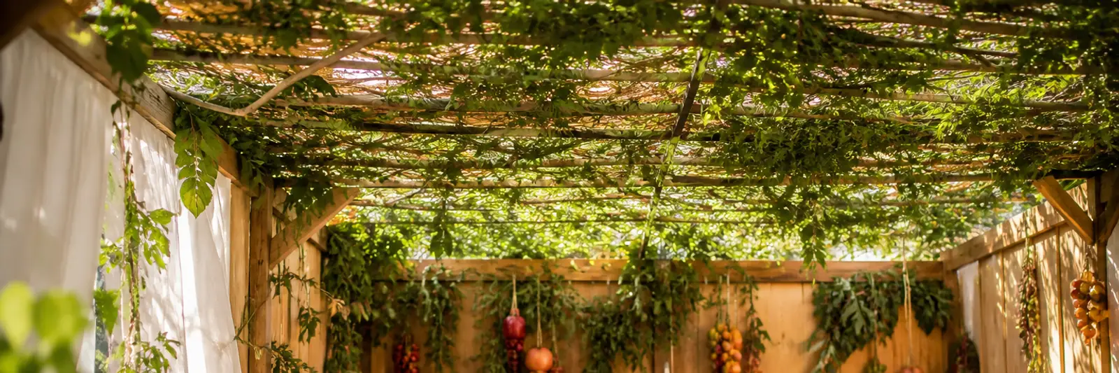 Banner for Dwelling in the Succah
